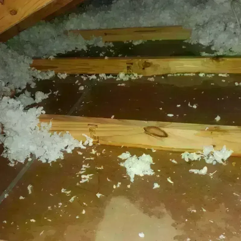 Attic Water Damage in Powell County, MT