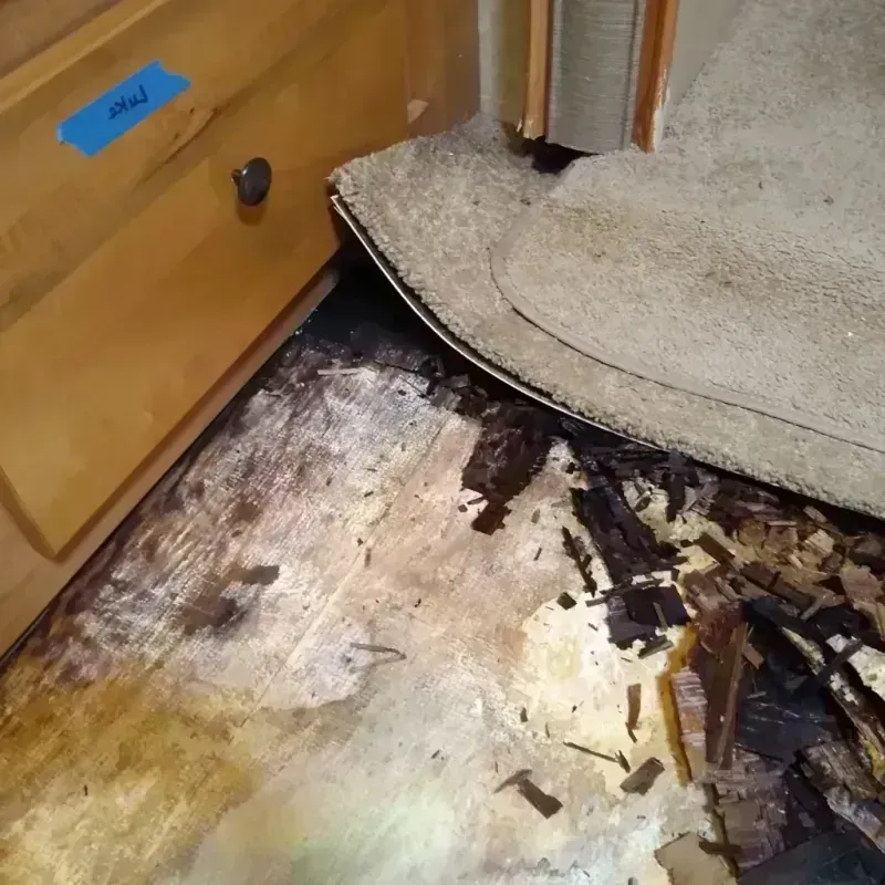 Best Wood Floor Water Damage Service in Powell County, MT